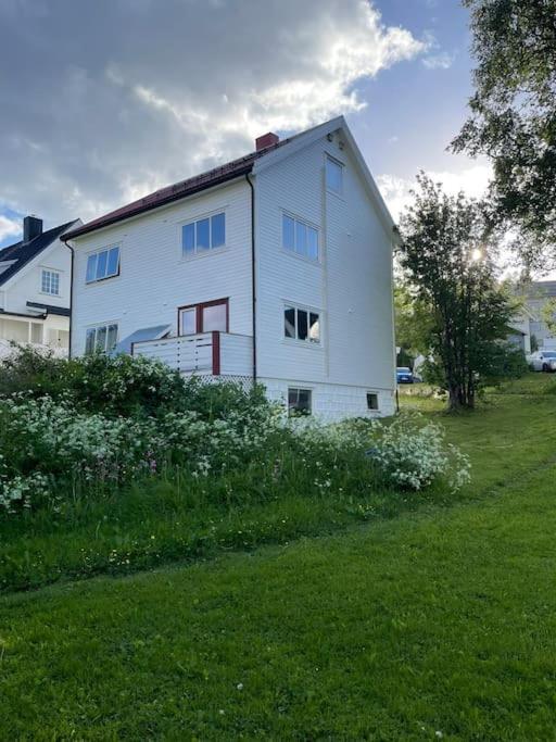 The Aurora Garden - 1Bedroom Apartment - Walking Distance From City Center Tromso Bagian luar foto