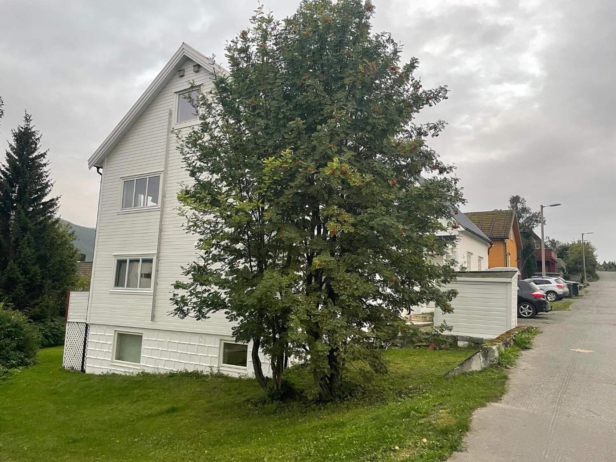 The Aurora Garden - 1Bedroom Apartment - Walking Distance From City Center Tromso Bagian luar foto